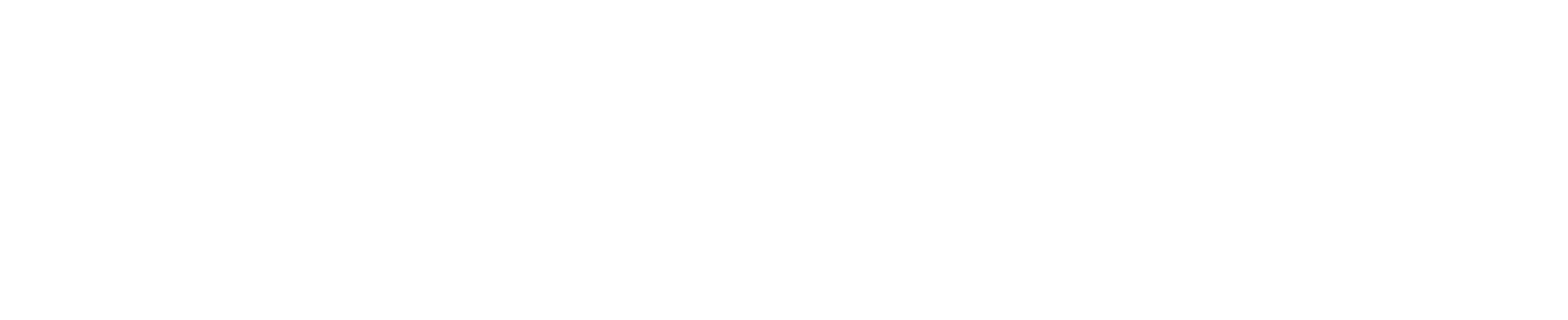 bdr.digital logo